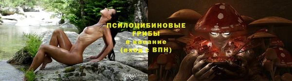 сатива Белоозёрский