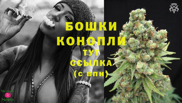 сатива Белоозёрский