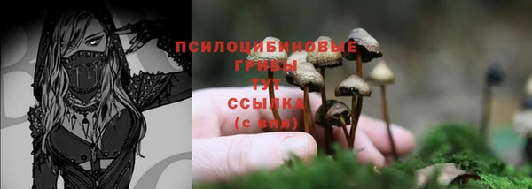 сатива Белоозёрский
