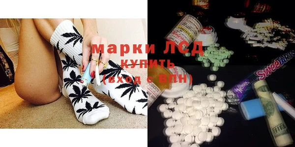 сатива Белоозёрский