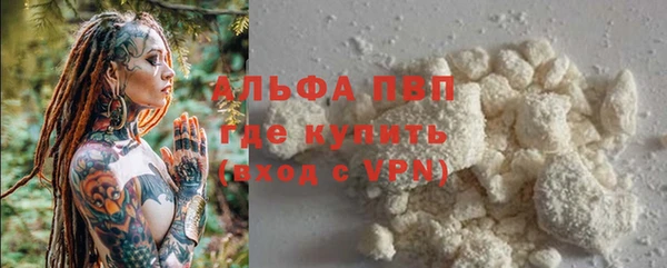 дживик Беломорск