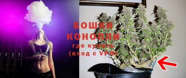 не бодяженный Белокуриха