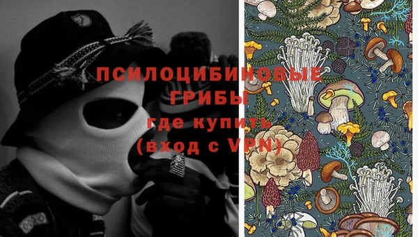 дживик Беломорск